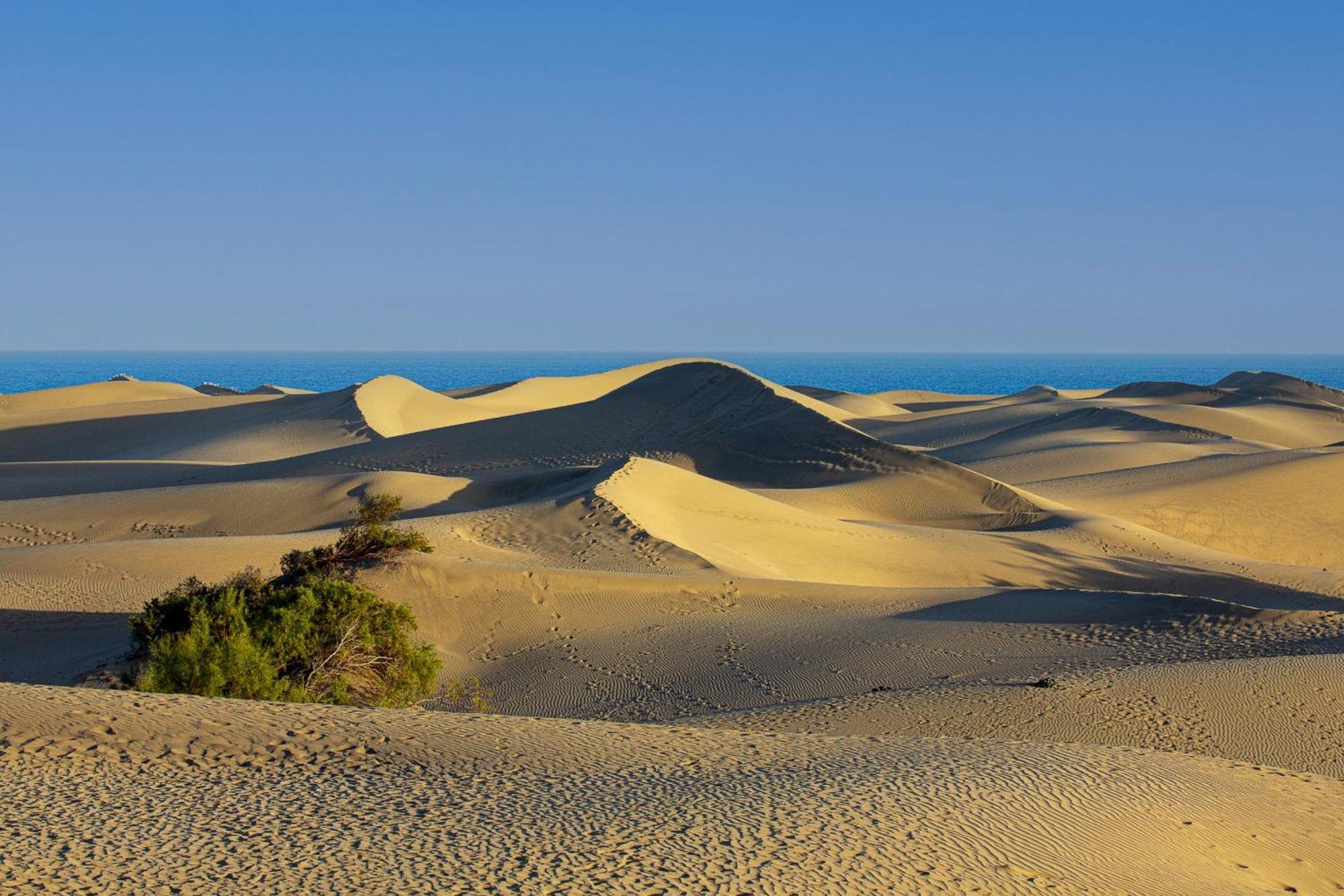 Nice 2 Bedroom Close To The Beach In Maspalomas Playa del Ingles  Ngoại thất bức ảnh